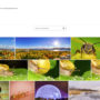 Pascal Guay Shutterstock Profile Preview